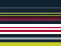 Coloured Stripes 06