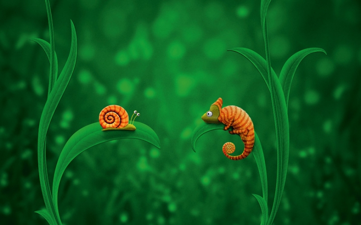 Snail and Chameleon